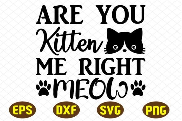 Are You Kitten Me Right Meow Svg Designs Review